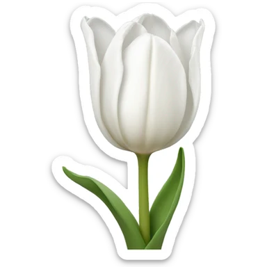 White tulip sticker