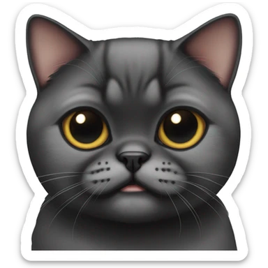 Full Black exotic shorthair cat sticker
