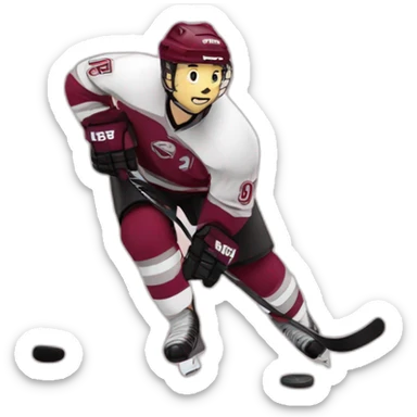 geneve servette hockey sticker