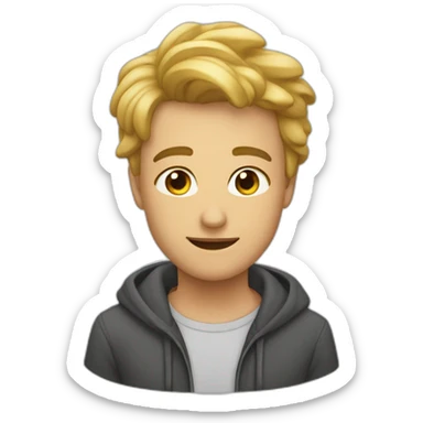 C’est pas sorcie sticker