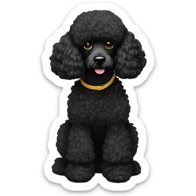 Black poodle on carpet sticker