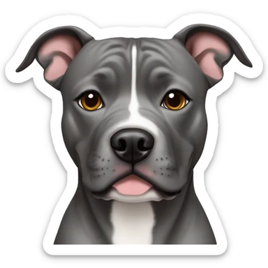 grey staffordshire bull terrier, without white sticker