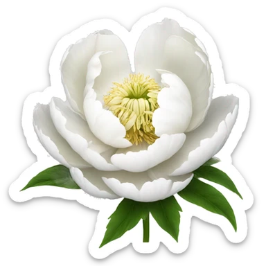 white peony flower sticker