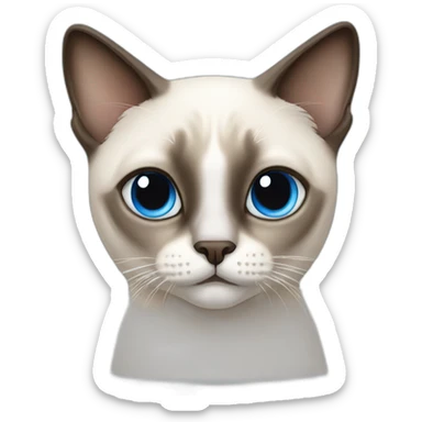Siamese cat white with bleu eyes sticker