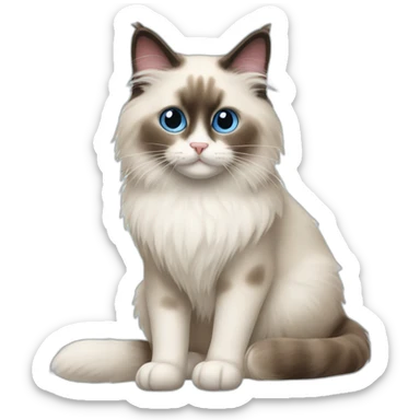 Ragdoll cat sticker