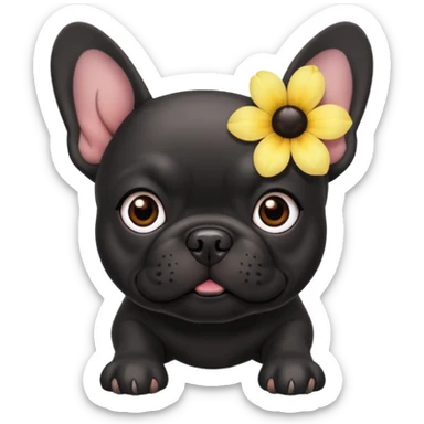 Black French bulldog with a flower sticker