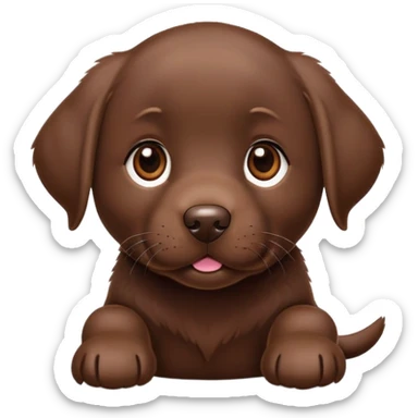 Chocolate color labrador retriver puppy sticker