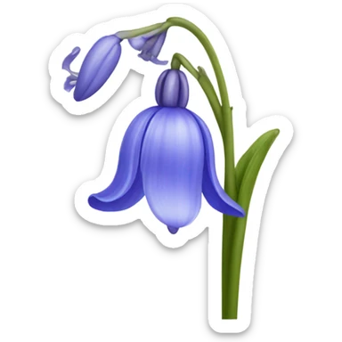 Bluebell sticker
