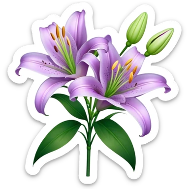 bouquet Light Purple Lily, luxuriant, stem, leaf, bud sticker