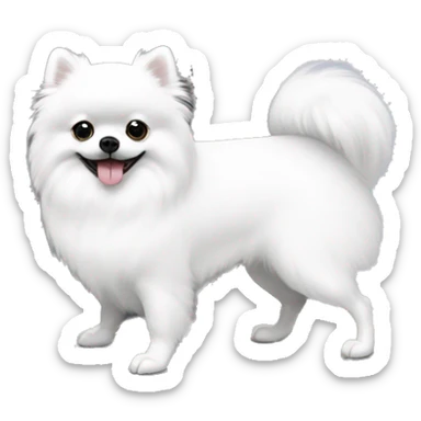 White pomeranian and white next to a grey hermes birkin bag sticker