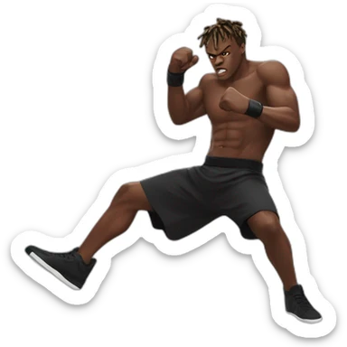 Ksi fight sticker