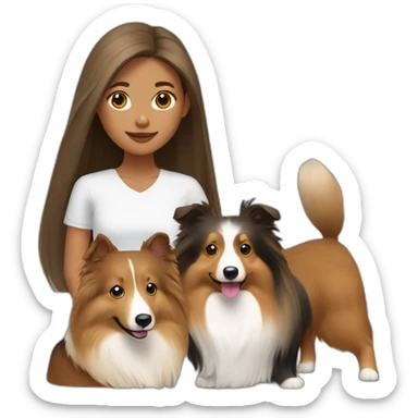 yong woman with light-broun straight hair holds a sable sheltie and bi-black sheltie sticker