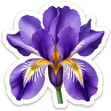 Croatian iris flower iconic  sticker