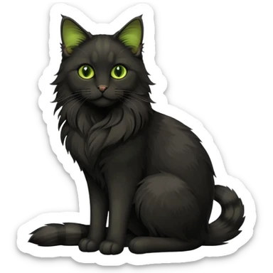 main coon black cat with green yellowish eyes full body sticker