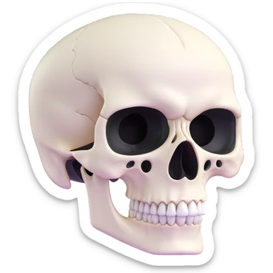 white skull, clean and smooth, detailed features like eye sockets, nasal cavity, and teeth sticker