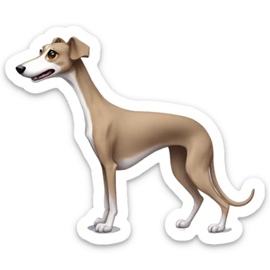 Galgo de pelaje atigrado con una pata trasera más corta  sticker