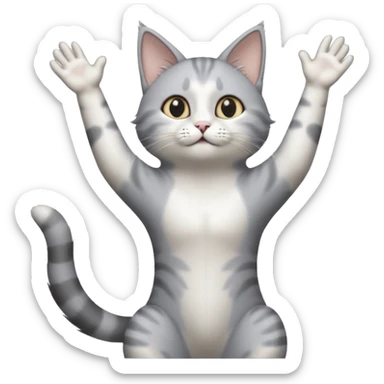 grey and white cat doing a big long stretch reaching up into the airwith arms together sticker