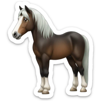 Irish cob horse sticker