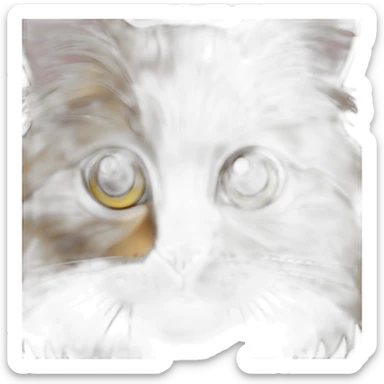 maine coon cat with golden face and white front paws sticker