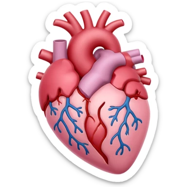Anatomical heart, very soft pastel pink, light, iOS emoji style, variation 4 sticker