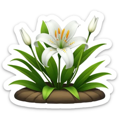 Singapore graveyard flower sticker