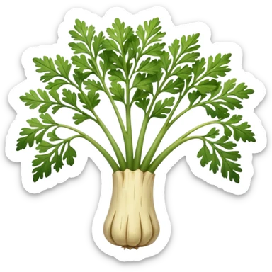 parsley root sticker