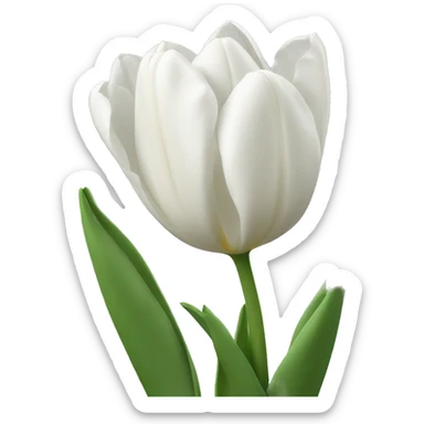 White Tulips sticker