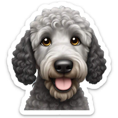 Curly Black with gray golden doodle with black ears and brown muzzle  sticker