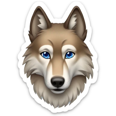 A sable wolf with blue eyes sticker