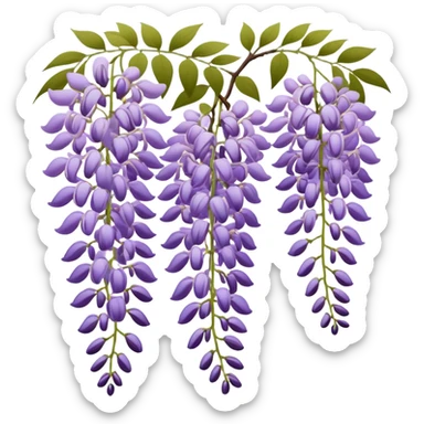 Japanese style wisteria (fuji) flower in elegant ukiyo-e inspired design, cascading purple blooms hanging like in traditional Japanese gardens, with gentle curved lines sticker