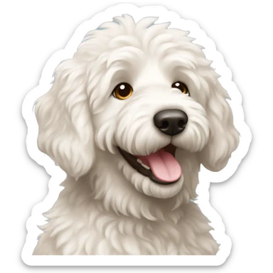 happy white fluffy labradoodle sticker
