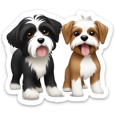 black and white havanese fighting a brown and white yorkie in a boxing ring  sticker