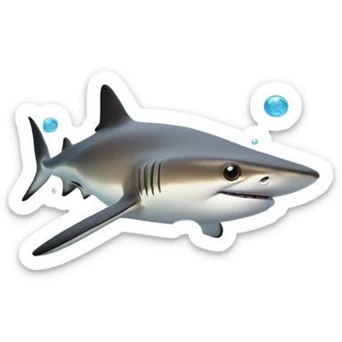 Black tip reef shark with bubbles around sticker