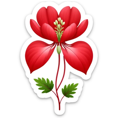 Dicentra spectabilis in red. Single one sticker