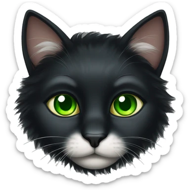 fluffy black cat with green eyes  sticker