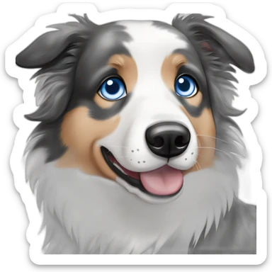 Blue eyes Seal merle Border collie sticker