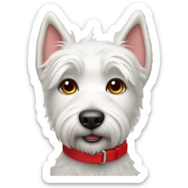White terrier with a red collar sticker