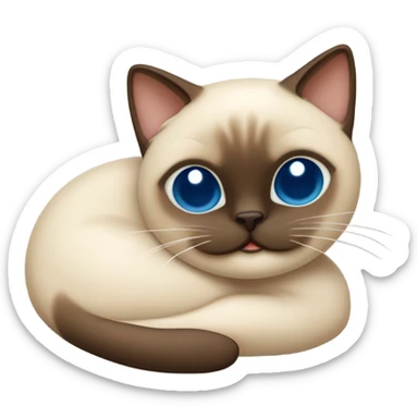 Siamese cat sleeping  sticker
