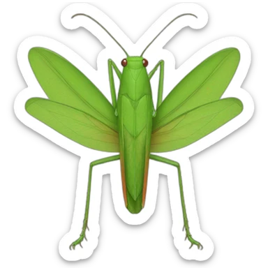 katydid sticker
