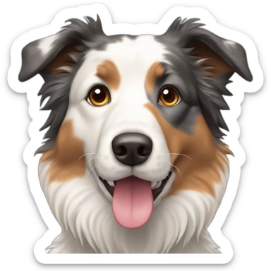tricolor merle border-collie sticker