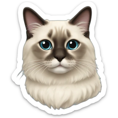 A ragdoll cat seal point sticker