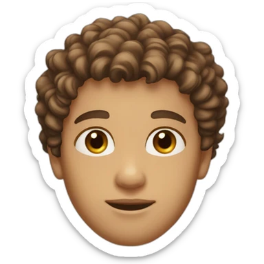Boy with light skin, brown eyes, curly and brown hair on the top and short on the sides, and beard with a profiled jaw sticker
