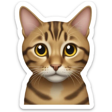 Cat tabby sticker