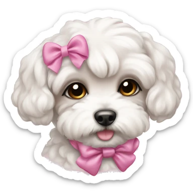 Schichon puppy pink bow sticker