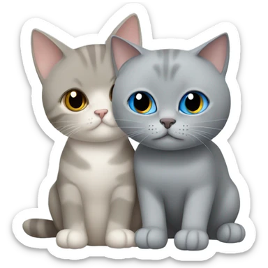 Grey cat with folded ears cuddling with beige British shorthair with blue eyes  sticker