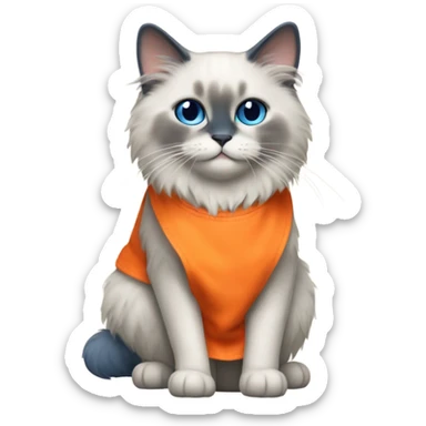 Blue point Ragdoll cat wearing an orange apron  sticker