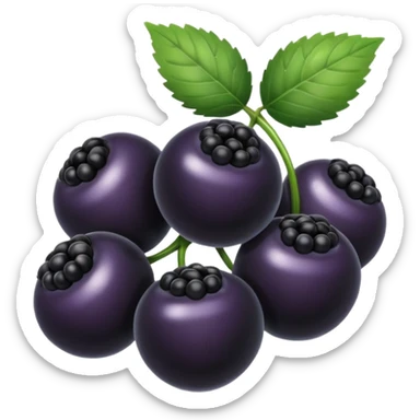 black berry sticker