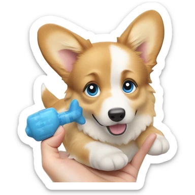 corgi dog with a toy in the hands of a girl with blond long hair and blue eyes sticker
