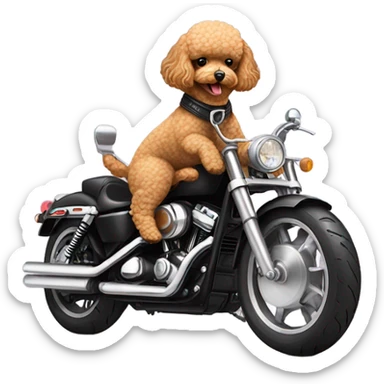 Toy poodle riding a Harley Davidson  sticker