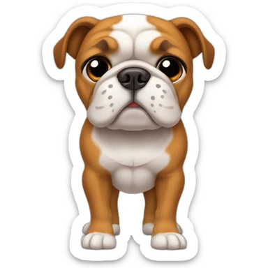 cara de perro bulldog color canela front view sticker